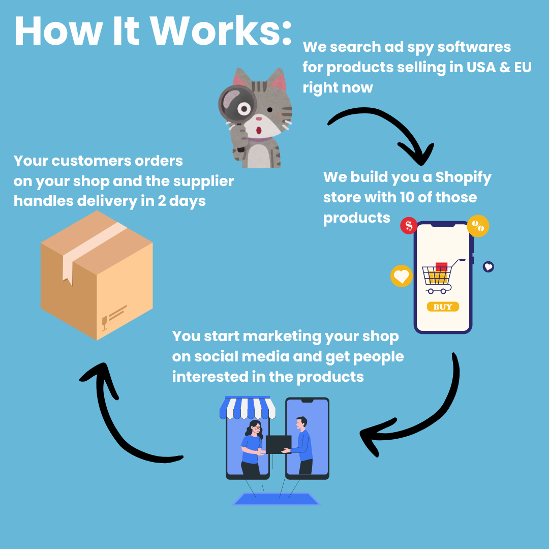 Dropshipping Ready Made Store + 1 Month Mentorship Group Calls