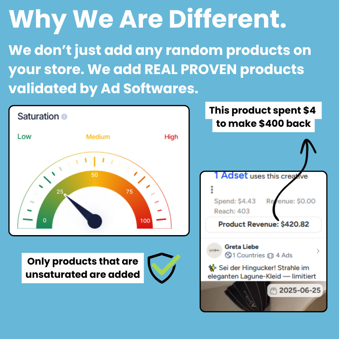 Dropshipping Ready Made Store + 1 Month Mentorship Group Calls